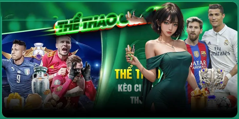 CMD 368 Dabet là sản phẩm của sự hợp tác lâu bền từ thương hiệu lớn